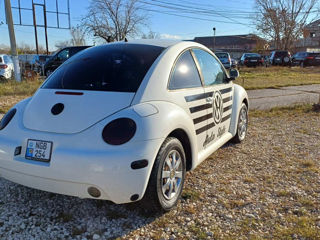 Volkswagen Beetle foto 3