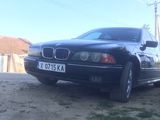 BMW 5 Series foto 2