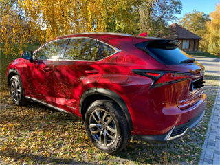 Lexus NX Series foto 4