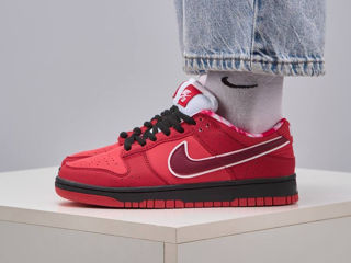 Nike SB Dunk Low Red Lobster Unisex