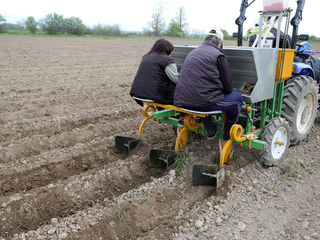 Se vinde mașină de plantat cartofi cu 2 rânduri si distribuitor de îngrășământe foto 3