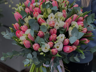 Lalele la pret angro! Livrare flori Тюльпаны оптом и в букете!Доставка цветов Tulips delivery flower foto 3