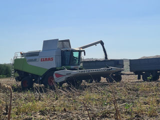 Claas lexion 580 2008 foto 4