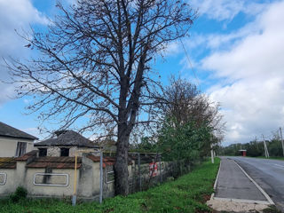 Se vinde casă situată în satul Ivancea, raionul Orhei foto 5