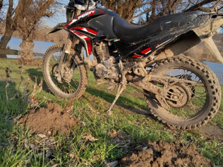 Viper Enduro foto 4