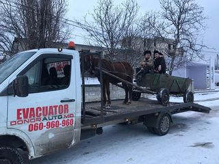 Evacuator/эвакуатор/Moldova/Europa foto 16