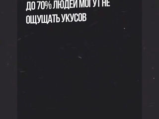 Травля клопов постельных, бегающих Тараканов, прыгающих Блох foto 10