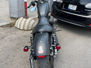 Harley - Davidson Sportster Iron 883 foto 6