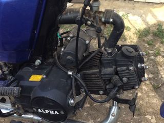 Alpha Moto foto 2