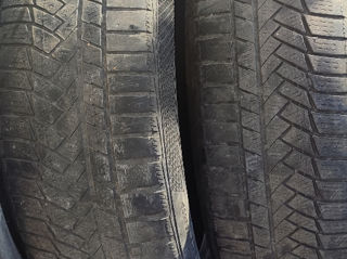 205/55r19 foto 3