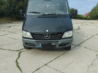 Mercedes 313 basculantă foto 3