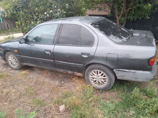 Nissan Primera foto 5