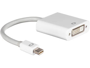 Mini DisplayPort to DVI