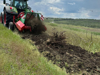 Scoatem rădăcini din sol (defrișare subterană) / dezrădăcinare terenuri. Servicii defrișare foto 3