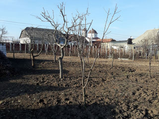 Vând casa în satul Pîrîta ( nu departe de Vadul lui Vodă) foto 2