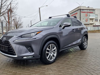 Lexus NX Series