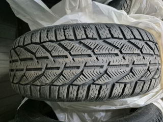 215/55 R17 Iarna (зима) foto 3