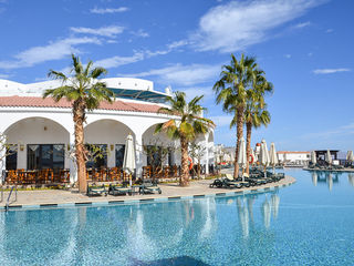 Reef Oasis Blue Bay5* Шарм ель Шейх  в бухте с хорошим рифом. Супер цена!!! foto 3