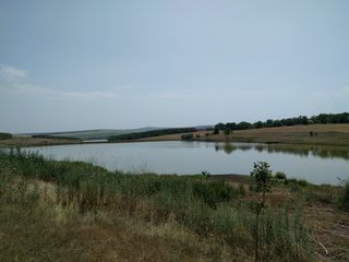 Se vinde lac (iaz), pentru dezvoltarea unei afaceri piscicole foto 4