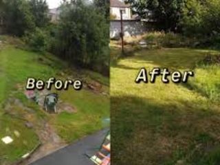 Prestăm servicii de curățenie a caselor, vilelor neîngrijite de mulți ani, curățenie pe spatii verzi foto 4