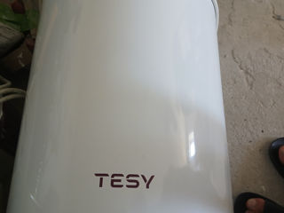 TESY