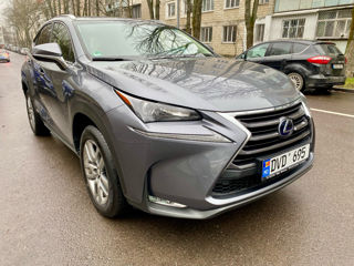 Lexus NX Series