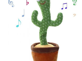 Cactus( danseaza,lumeneaza,repete,cîntă) foto 2