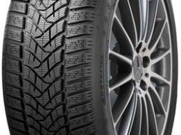 R17 215/55 dunlop