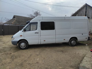 Mercedes Sprinter 313 foto 3