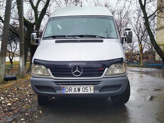 Mercedes Mers  scimb pe Prado foto 8