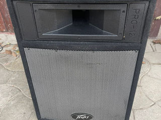 Peavey pro 12