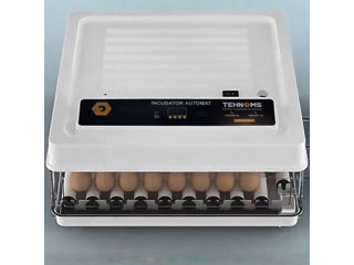 Incubator MS-70 - 3 rate 0% - Livrare - Credit - Transfer - Agrar.md foto 2