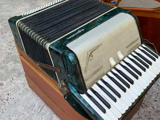 Acordeon uzat foto 3