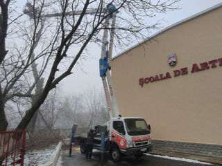 Servicii profesionale de defrișări copaci! foto 17