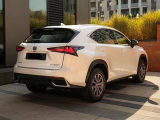 Lexus NX Series foto 4