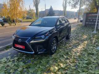 Lexus NX Series