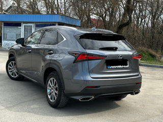 Lexus NX Series foto 2