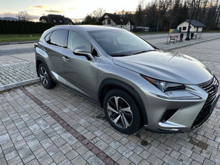 Lexus NX Series