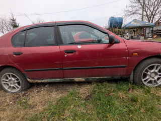 Nissan Primera foto 2