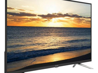 Bravis 32" - 82 cm.