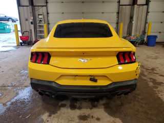 Ford Mustang foto 3