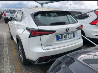 Lexus NX Series foto 2