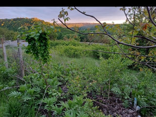 Vând teren 7 ari la Criuleni, aproape de Făurești, Ciorescu foto 2