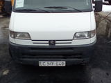 Peugeot boxer foto 3