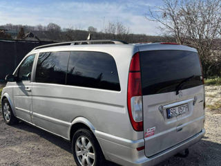 Mercedes Viano foto 5