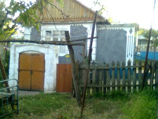 Casa, s. Fintinita, raionul Drochia foto 9