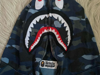 BAPE foto 4