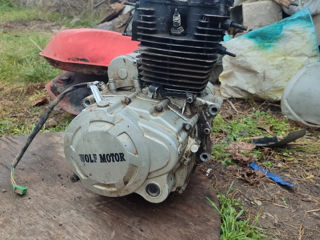 Motor wolf motor