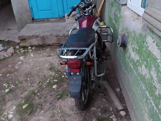 Alpha Moto foto 3