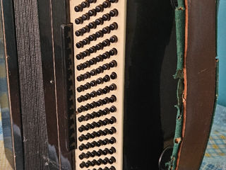 Acordeon / Гармошка